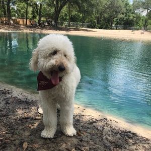 Meet your Posher, Hayley